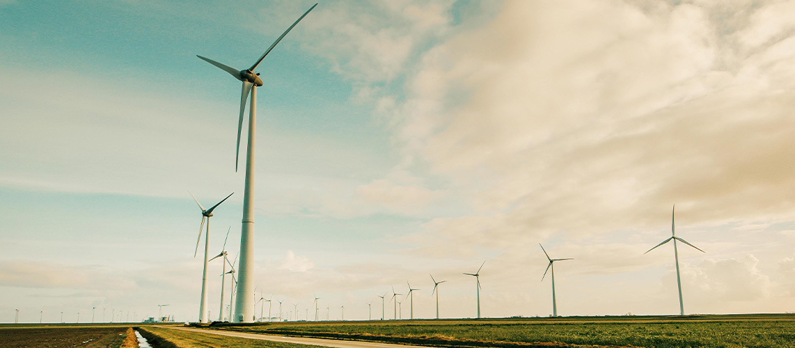 éoliennes champ prairie
