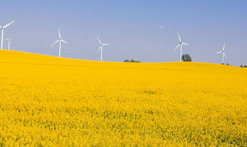 Directives ENR et biocarburants: enfin la transposition !