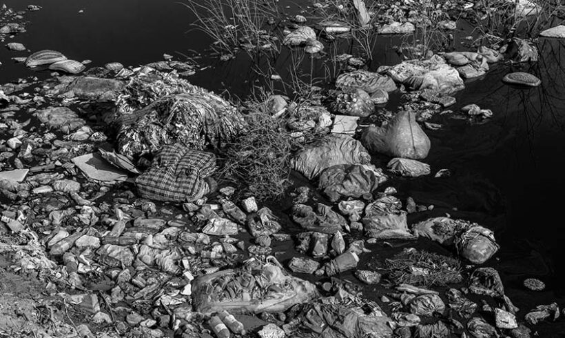 Les infractions environnementales épargnées par le Conseil constitutionnel