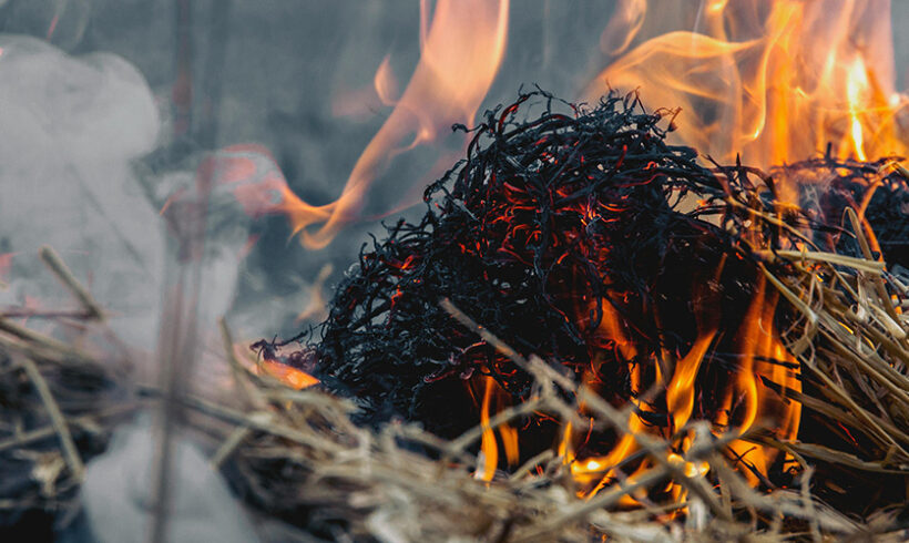 Déchets verts : l&rsquo;interdiction de brûlage à l&rsquo;air libre rappelée par circulaire