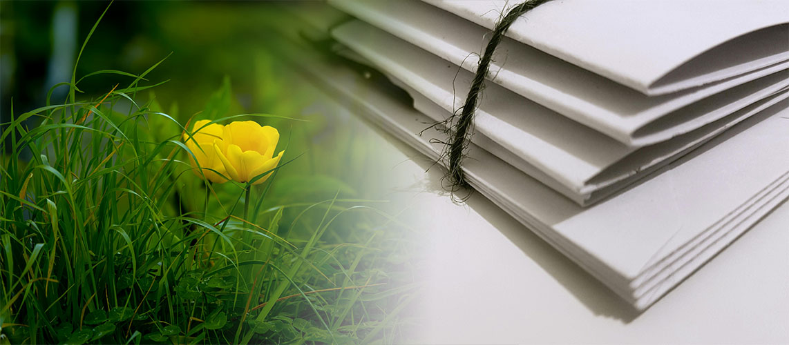 rapport herbe fleur environnement