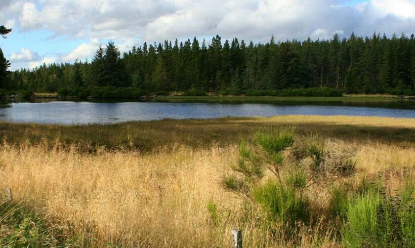 Réserves naturelles régionales : un projet d&rsquo;ordonnance