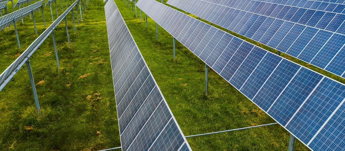 solaire centrale au sol