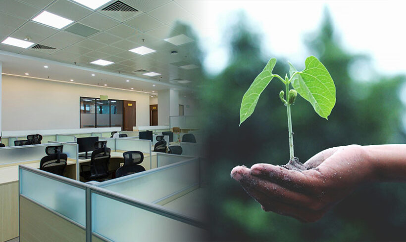 Baux verts : le contenu de l’annexe environnementale est paru Baux verts : le contenu de l’annexe environnementale est paru