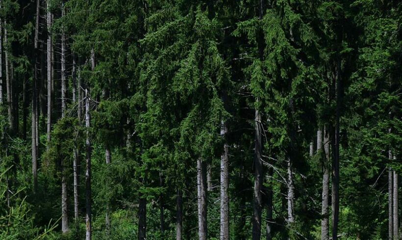 Parcs nationaux : observations sur la modernisation de la réglementation applicable