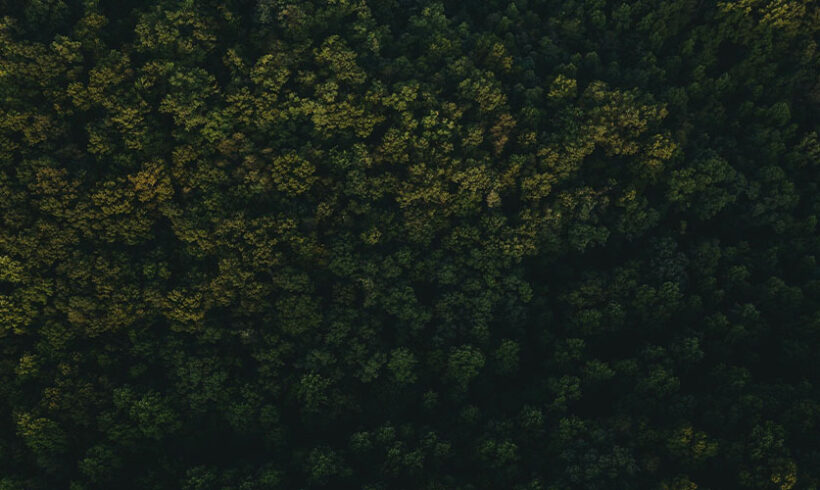 Parcs naturels régionaux: modification du régime par le décret n° 2012-83 du 24 janvier 2012