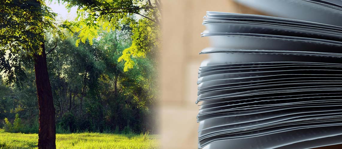 bilan grenelle environnement