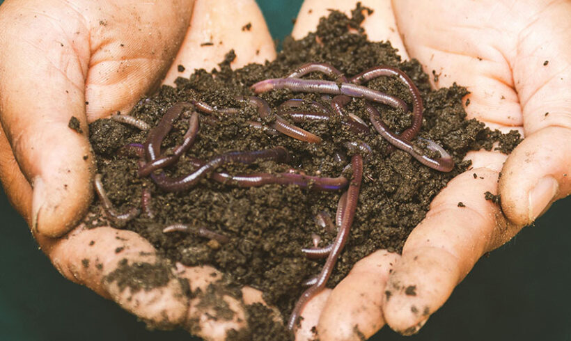 ICPE : modification de la nomenclature (déchets,compostage, produits alimentaires, OGM)