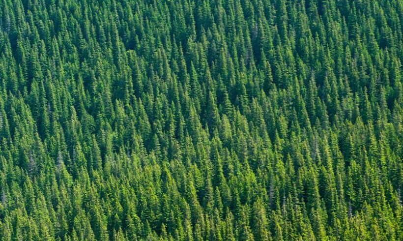 Parcs naturels régionaux : analyse d&rsquo;une directive « Crédit foncier de France » du 04 mai 2012