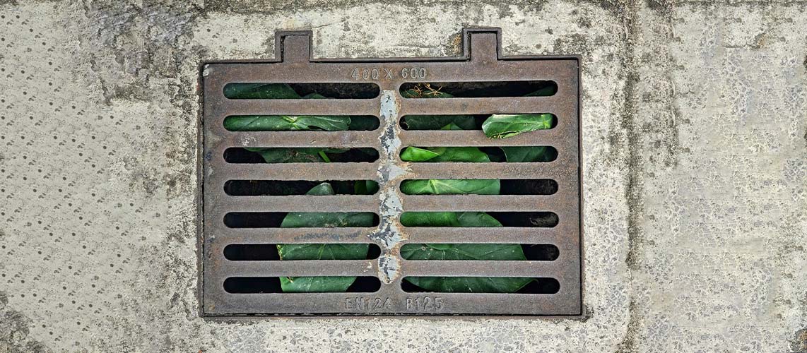 plaque égout feuille