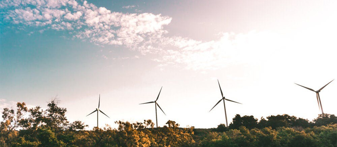 éoliennes bois