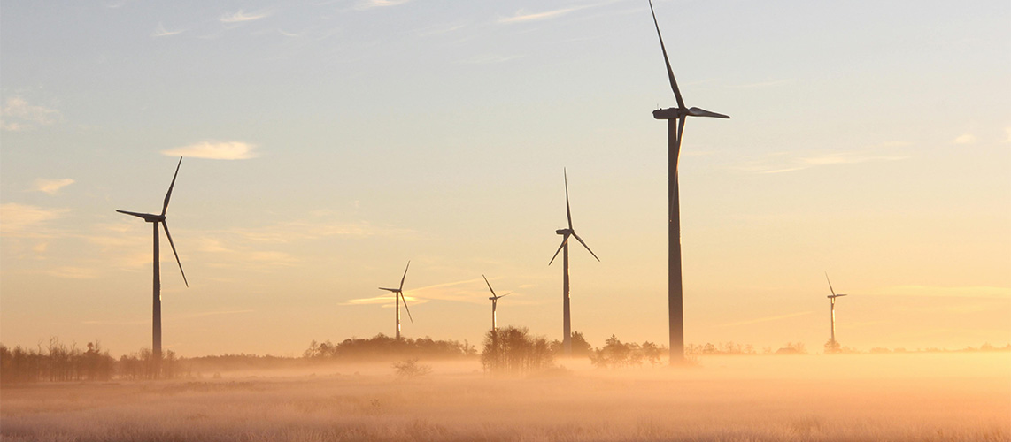 éoliennes pré crépuscule brume