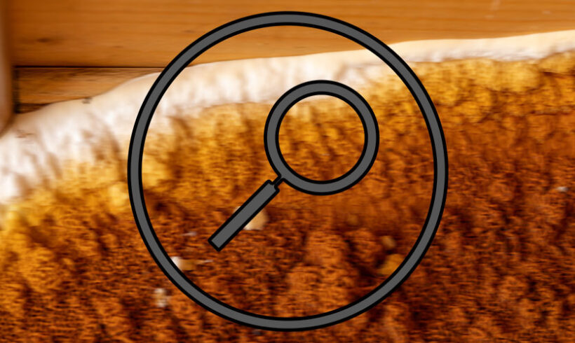 Absence de diagnostic obligatoire pour la détection de la mérule…… mais responsabilité accrue des vendeurs engagée par les juridictions judiciaires.