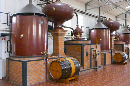 distillation of cognac