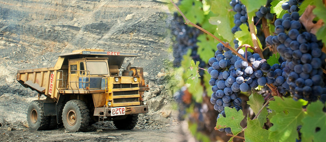 carrière vigne