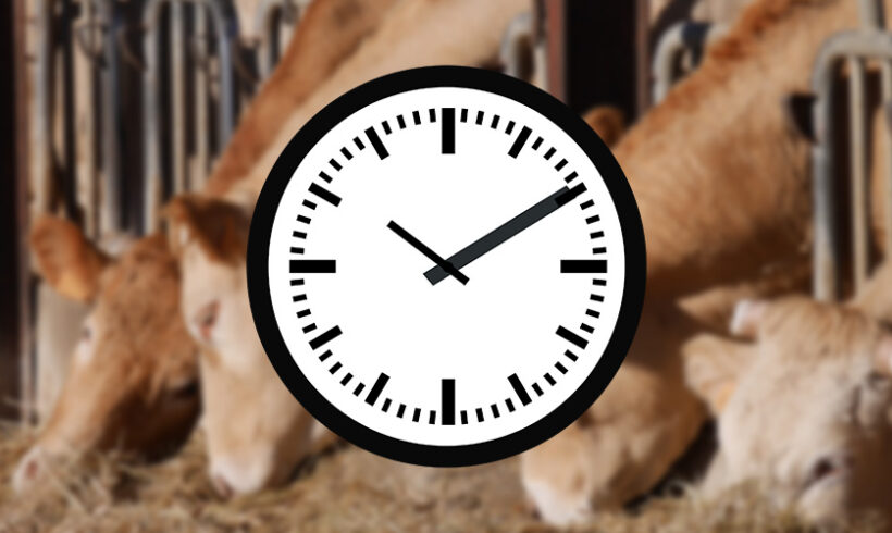 Elevages : le délai de recours réduit à 4 mois va t-il survivre aux discussions parlementaires relatives au projet de loi Macron ?