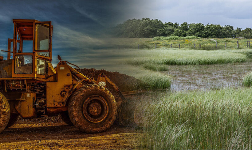 Remblais en zone humide : un défaut de conseil et d&rsquo;information du professionnel peut conduire à la nullité du contrat