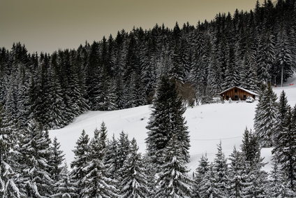 Idyllic mountain lodge in winter