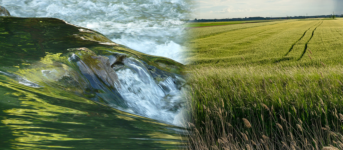 irrigation agricole eau