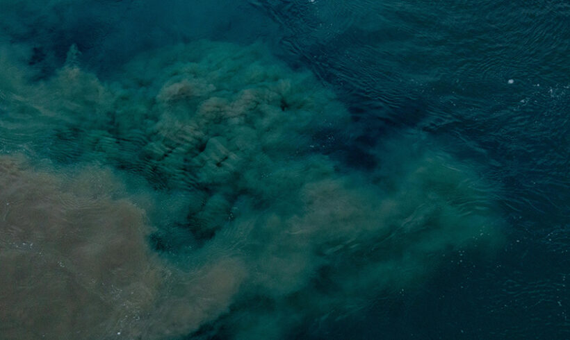Le préjudice écologique reconnu suite à la pollution de l’estuaire de la Loire par la raffinerie de Donges (CA RENNES, 9 déc.2016)