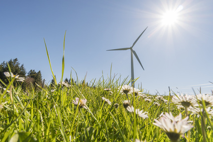 Windkraftwerk auf einer Blumenwiese -kologie und Nachhaltigkeit