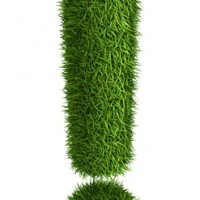 3D exclamation mark  photo realistic isometric projection grass ecology theme on white