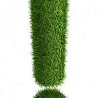 3D exclamation mark  photo realistic isometric projection grass ecology theme on white