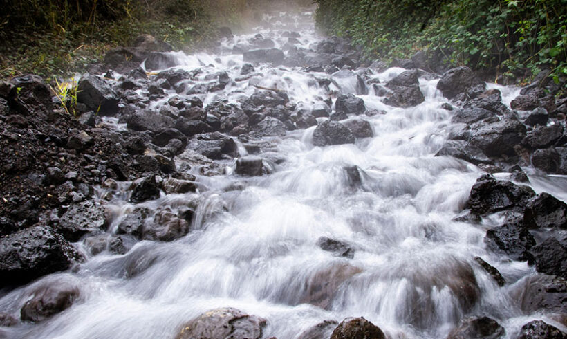 Continuité écologique : un projet de décret relatif à la notion d’obstacle à la continuité écologique
