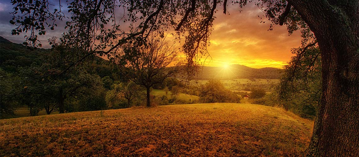 paysage soleil colline