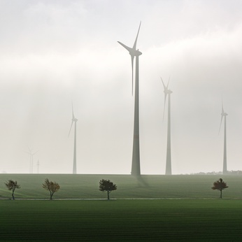 nebel am morgen