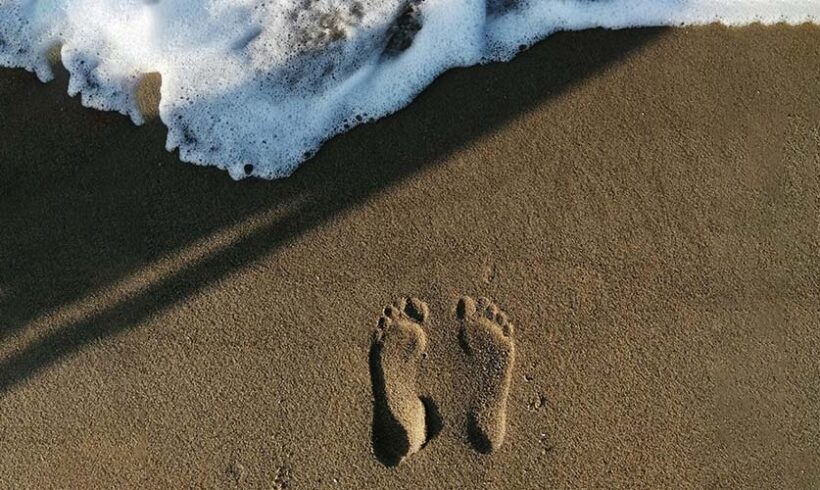 Expulsion des occupants sans titre du domaine public : marcher dans les pas du Roi n’octroie pas tous les privilèges !