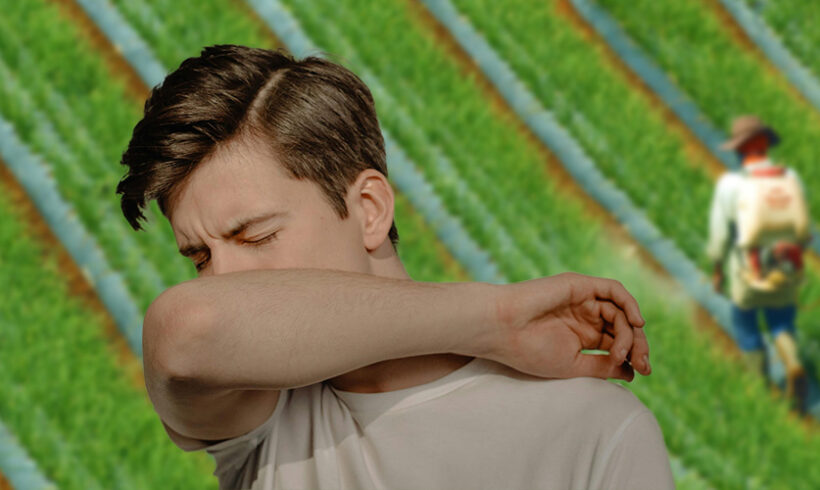 Vers un fonds d’indemnisation des malades victimes de pesticides ?