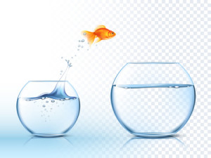 Goldfish jumping out one fishbowl to another aquarium with clear water against light checkered background poster illustration