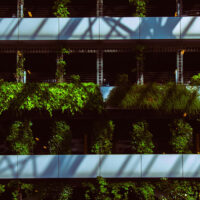 Architecture et transition écologique : extension du « permis de faire »