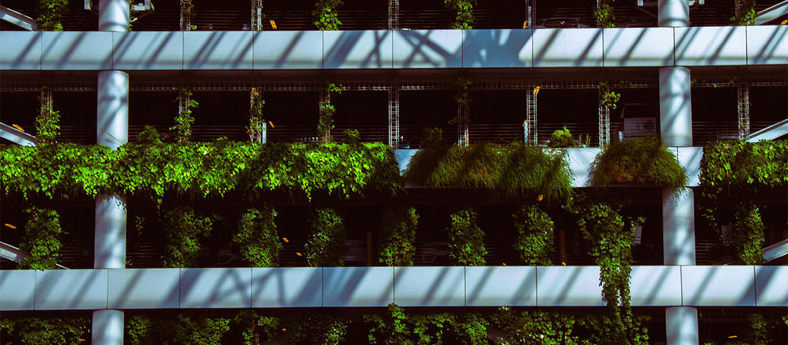 bâtiment verdure écologie
