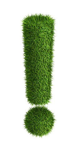 3D exclamation mark  photo realistic isometric projection grass ecology theme on white