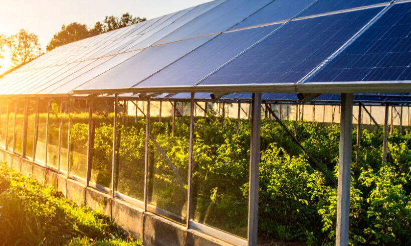 Serres agrivoltaïques : leur simple couverture ne remet pas en cause la destination agrirole Serres agrivoltaïques : leur simple couverture ne remet pas en cause la destination agrirole