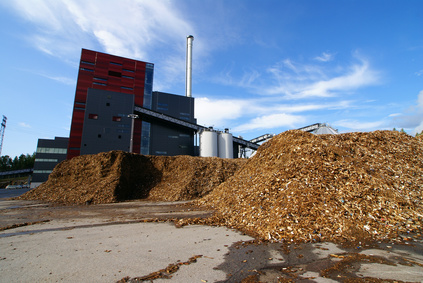 bio power plant with storage of wooden fuel