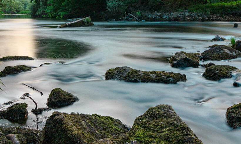 Mesures conservatoires en cas de pollution d’un cours d’eau : le JLD n’a pas à exiger la démonstration préalable d’une faute pénale