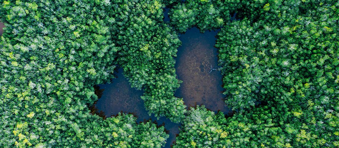 vue aérienne zone naturelle