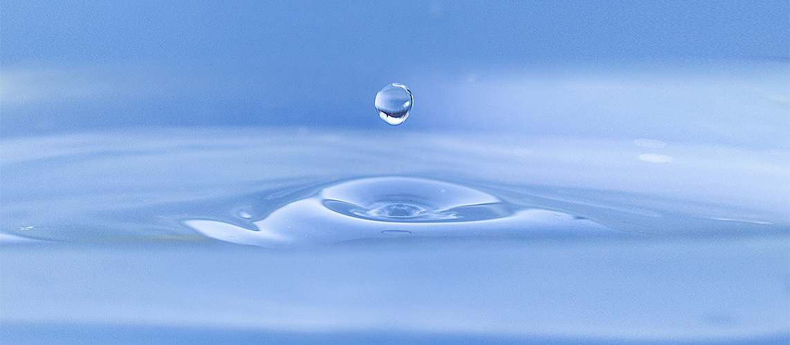 milieu aquatique