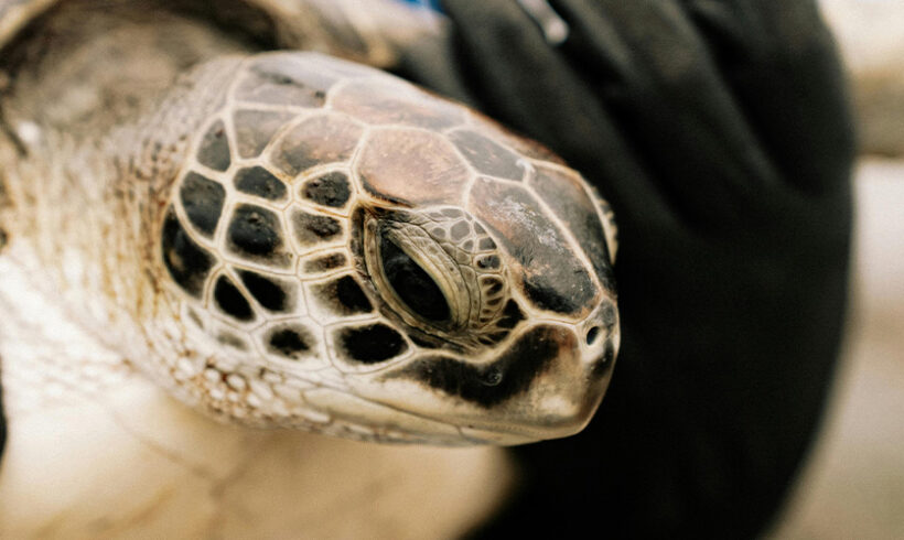 Sanction administrative : la suspension suspendue