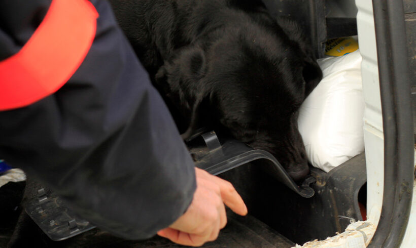 Fouille de véhicules par l&rsquo;OFB