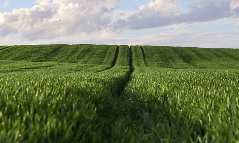 « Hameau rural » : le classement en zone agricole ne va pas de soi…