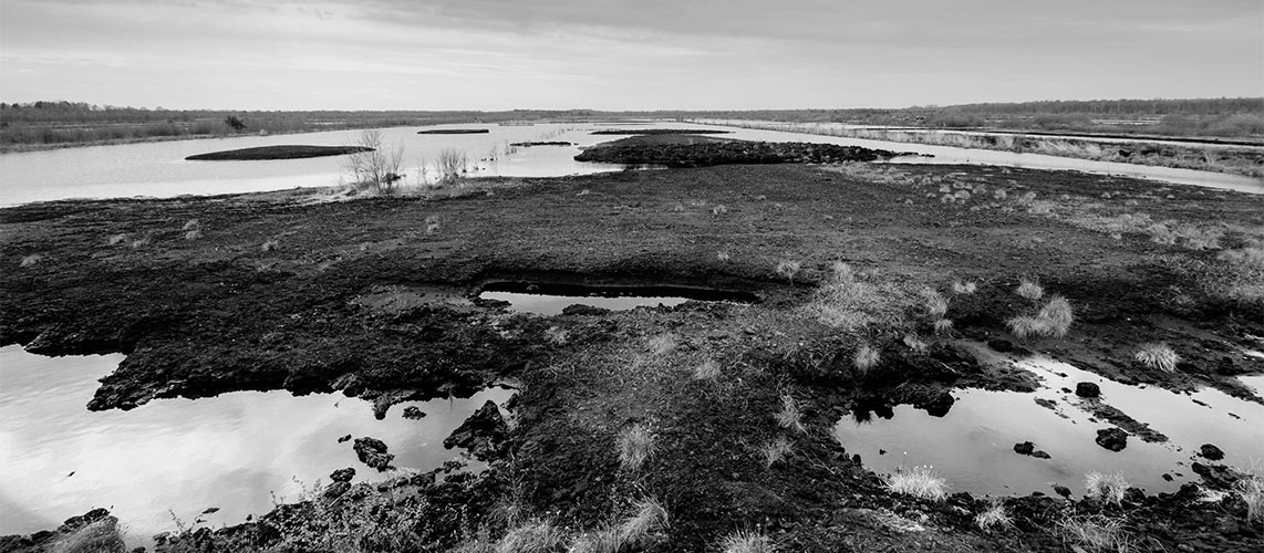 zones humide principe de non-régression