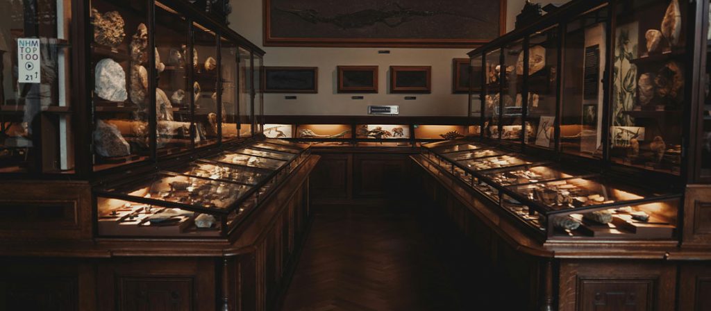 musée collection publique restitution de bien