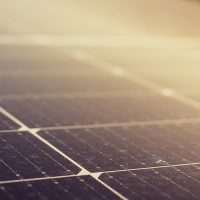 Dérogation « espèces protégées » : absence de solution alternative satisfaisante pour un parc photovoltaïque