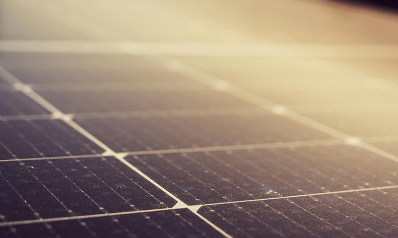 Dérogation « espèces protégées » : absence de solution alternative satisfaisante pour un parc photovoltaïque