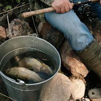 Evaluation environnementale des arrêtés réglementant la pêche en eau douce