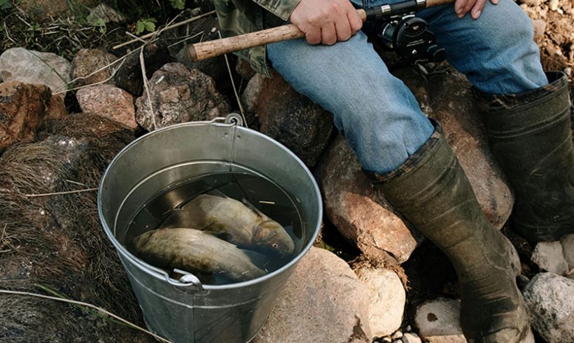 Evaluation environnementale des arrêtés réglementant la pêche en eau douce